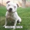 welcomeback.jpg