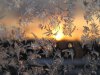 sunset_snow_Wallpaper_1600x1200_www.wallpaperswa.com.jpg