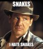 snakes-i-hate-snakes.jpg