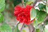 DSC_0917_DxO.jpg