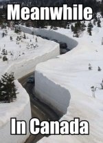 IMG_9095.jpeg
