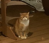 IMG_4076.jpeg