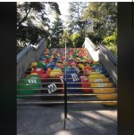 IMG_2642.jpeg