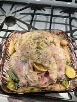 IMG_4976.jpeg