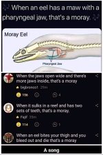 IMG_0179.jpeg