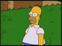 IMG_5122.gif