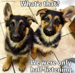 IMG_3361.png
