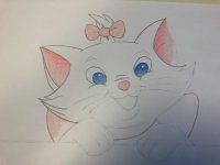 IMG_6311.jpeg