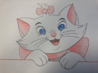 IMG_6313.jpeg