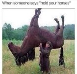 FB_IMG_1741901302124.jpg