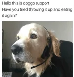 1742410893185.webp