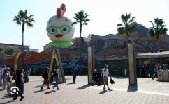 IMG_2781.jpeg
