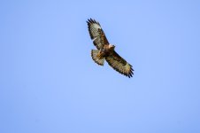 IMG_8671.jpg