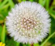 IMG_8729.jpg