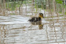 DSC_3489.jpg