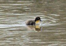 DSC_3492.jpg