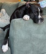 IMG_5801.jpeg