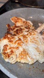 IMG_0845.jpeg
