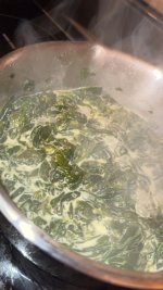 IMG_0847.jpeg
