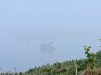 PXL_20250327_072248589~2.jpg