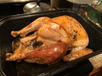 IMG_1858.jpeg