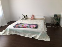 IMG_0425.jpeg