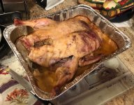 IMG_2731.jpeg