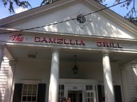 IMG_3176.jpeg