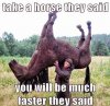 TakeAHorse.jpg
