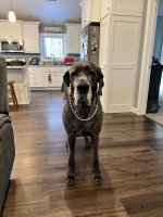 IMG_5110.jpeg