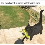 1745703271216.png
