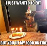 IMG_2903.jpeg