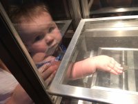 IMG_9681.jpeg