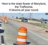 1745888645777.png