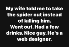 1745900232174.png