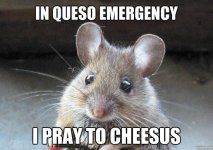 IMG_0939.jpeg