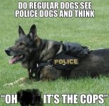 IMG_1360.jpeg