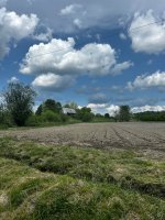 IMG_5989.jpeg