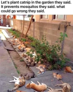 1746178875684.png