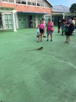 IMG_2198.jpeg