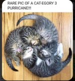 FB_IMG_1746208625971.jpg