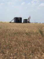 IMG_2006.jpeg
