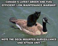 FB_IMG_1746476115538.jpg