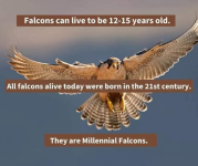 1746553903436.png