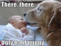 IMG_3389.jpeg