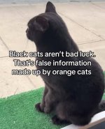 FB_IMG_1746990386117.jpg