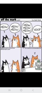 FB_IMG_1747038287595.jpg