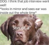 IMG_6811.jpeg