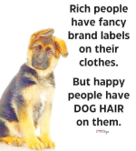 1747137307325.png