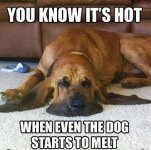 IMG_6905.jpeg